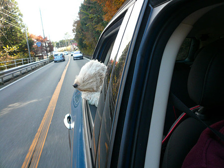 111122_04_koo_2