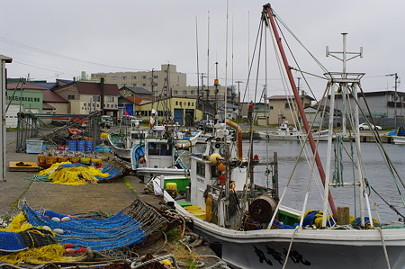 IMGP2645