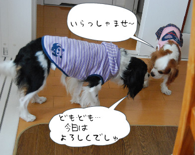 ご挨拶