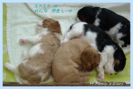 DSCN0142a