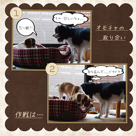 取り合い-1
