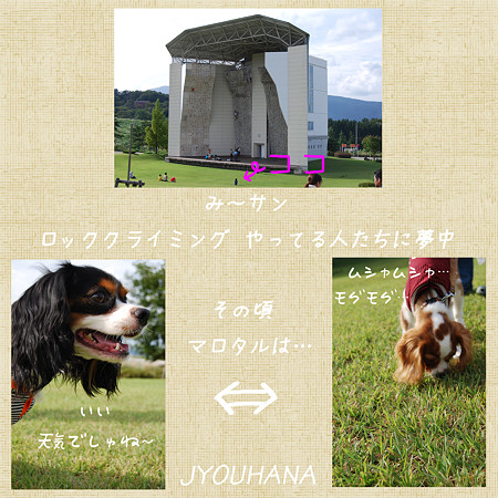 城端SA