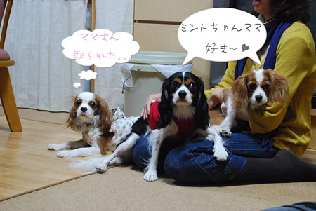 好き~♪