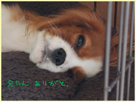 あんがと