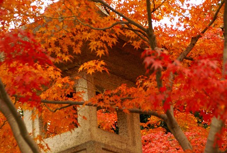 京都・紅葉さんぽ~49♪