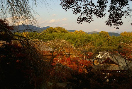 京都・紅葉さんぽ~52♪