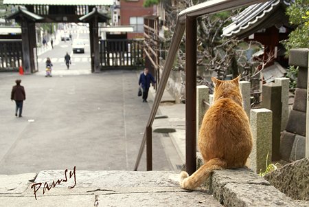 総門を見守って・・