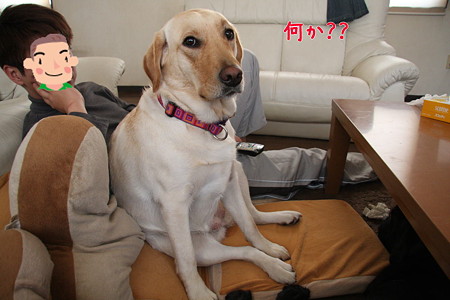 何か?