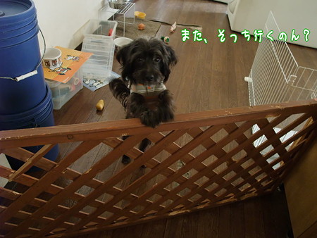 そっち行くの?