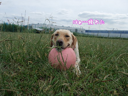 ポーズも健在