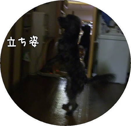 立ち姿