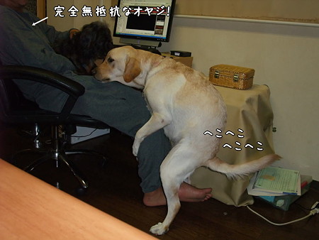 完全無抵抗