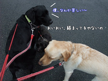 絡まり~