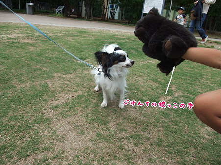 何をやってるんだか・・・(=^w^)ぷぷっ!