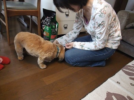 はじめて自ら甘えに行った!