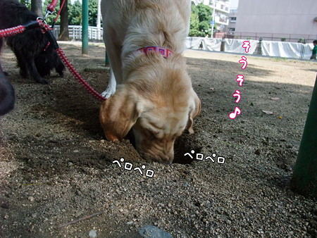 そうそう♪