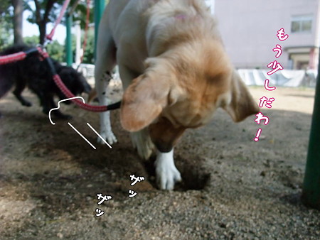 もう少し!