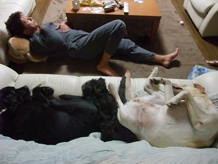 4人(人1人+犬3頭)一緒に