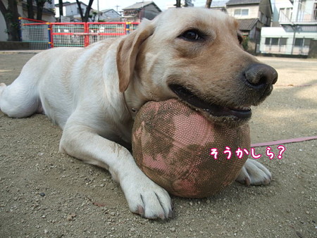 そうかしら