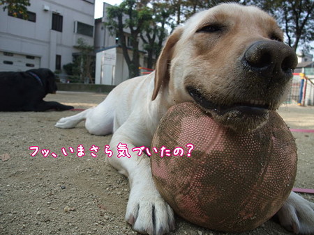 フッ