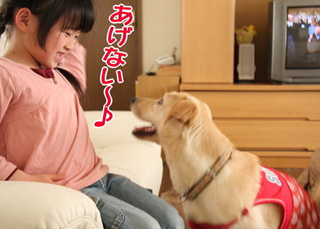 あげないよ