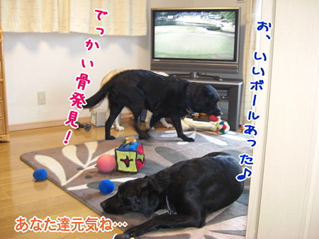 クズルおうちにて