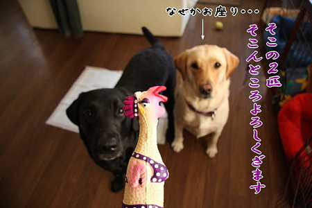 よろしく