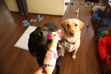 あ~ん