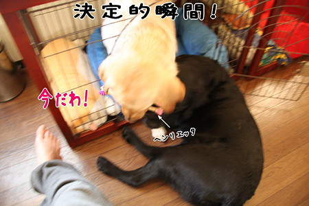 略奪成功