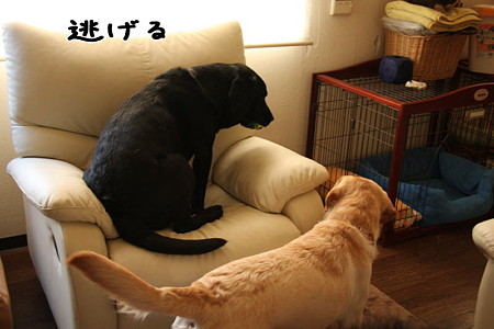 逃げる2