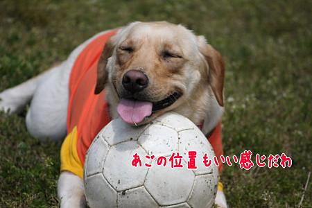 いい高さ