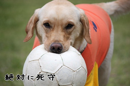 死守