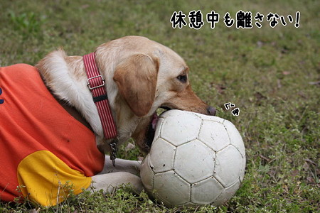 ぐぁ