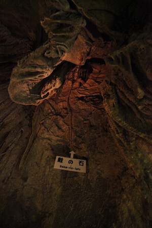 龍河洞 - 10
