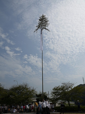 P1000717