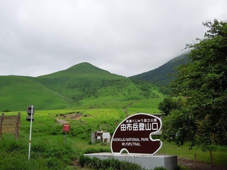 DSCN2834