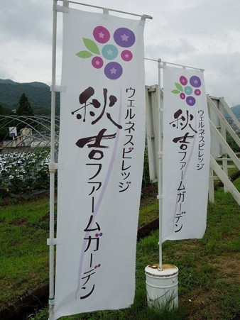 DSCN3052