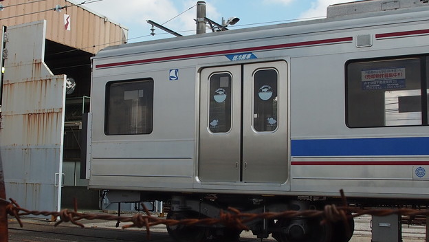 P7011571