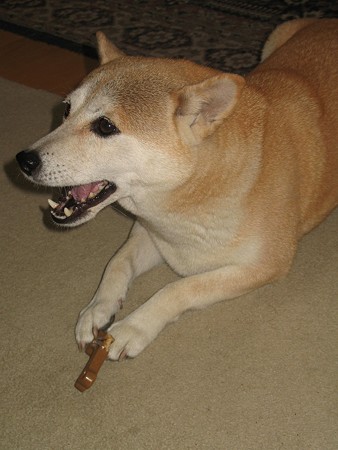 img 115