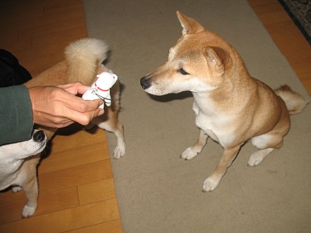 img 148