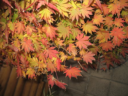 img 551