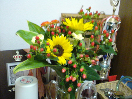 DSC00206