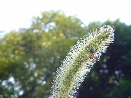 DSC00287