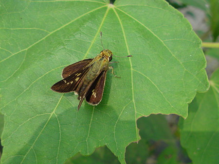 DSC00148