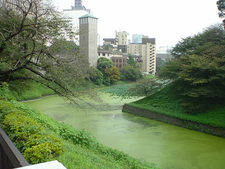 DSC00260