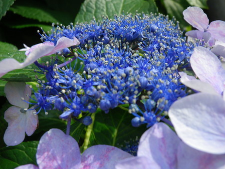 IMGP0207