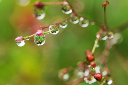 天の芸術
