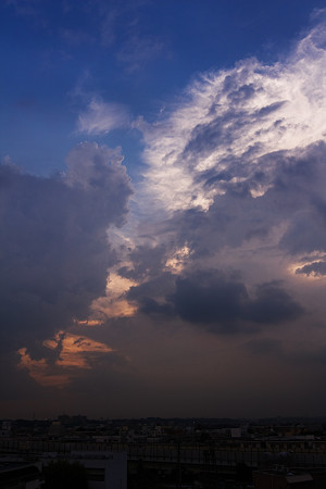 空高く