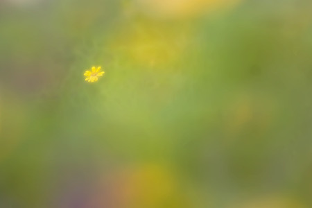 幻想的に