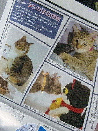 猫とも新聞第６号に鼻キッス...